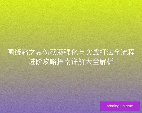 围绕霜之哀伤获取强化与实战打法全流程进阶攻略指南详解大全解析