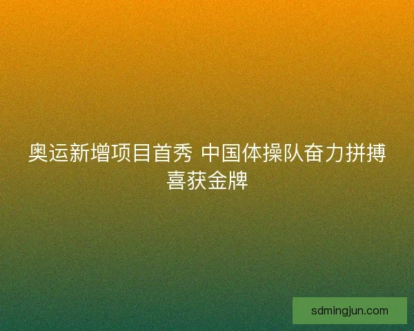 奥运新增项目首秀 中国体操队奋力拼搏喜获金牌 奥运新增项目首秀 中国体操队奋力拼搏喜获金牌