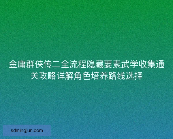 金庸群侠传二全流程隐藏要素武学收集通关攻略详解角色培养路线选择