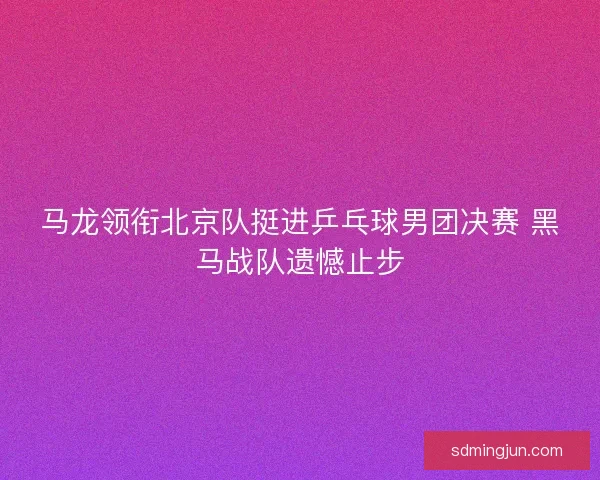 马龙领衔北京队挺进乒乓球男团决赛 黑马战队遗憾止步 马龙领衔北京队挺进乒乓球男团决赛 黑马战队遗憾止步