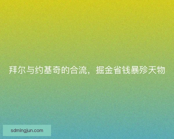 拜尔与约基奇的合流,掘金省钱暴殄天物 拜尔与约基奇的合流,掘金省钱暴殄天物