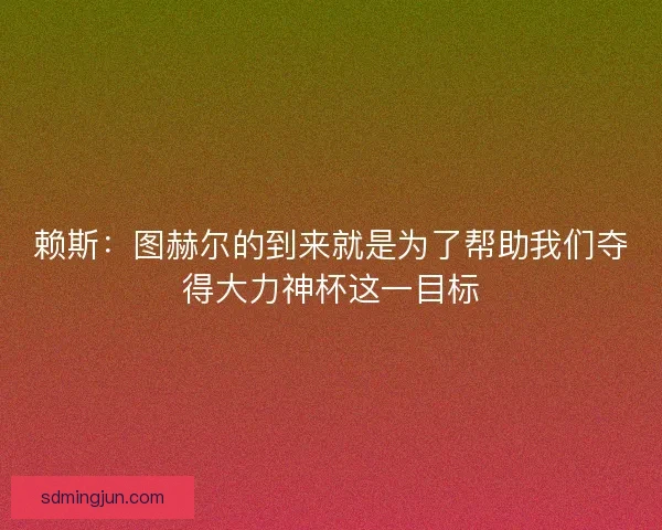 赖斯:图赫尔的到来就是为了帮助我们夺得大力神杯这一目标 赖斯:图赫尔的到来就是为了帮助我们夺得大力神杯这一目标